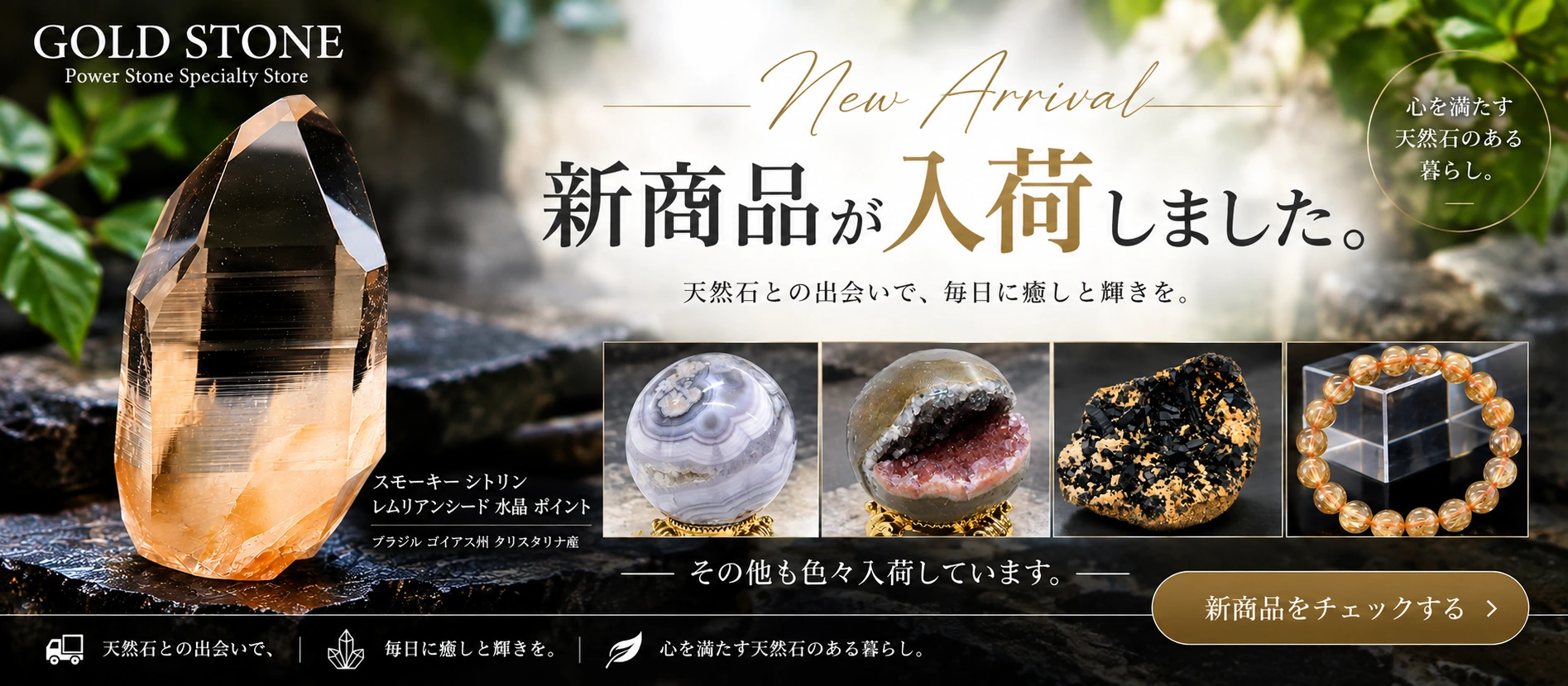 new_arrival