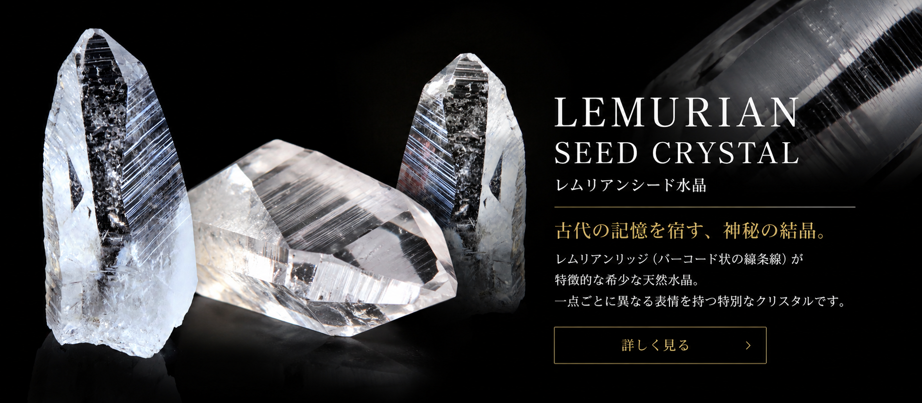 レムリアンシード