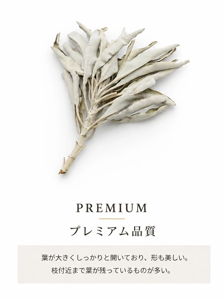 GOLD STONEのプレミアム品質ホワイトセージ