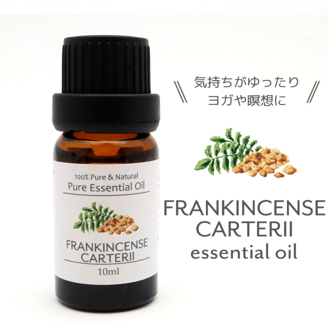 フランキンセンスカルテリ 精油 アロマオイル 10ml エッセンシャルオイル 天然成分100% 1本 スマッジング FrankincenseCarterii